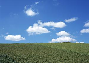 鹿児島で葬儀をするならNPO法人想い出を利用しよう