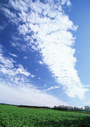 葬儀について事前相談（鹿児島県）