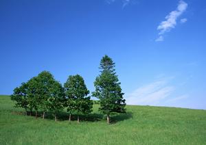 鹿児島県で葬儀ボランティアを探す